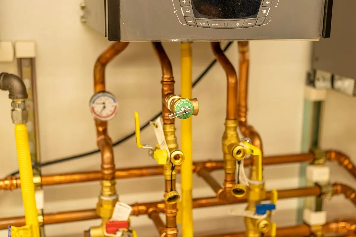 Licensed technician providing Sump Pump Repair for a homeowner in Cave Spring